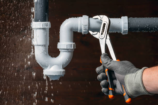 Professional Plumbing technician working in Oakford, IL